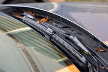 Arabanın ön cam sileceğinin makro bir portresi taban pozisyonunun en altında duruyor ve bıçak aracın camının üzerinde duruyor ve düşmekte olan yapraklarla çevrili..