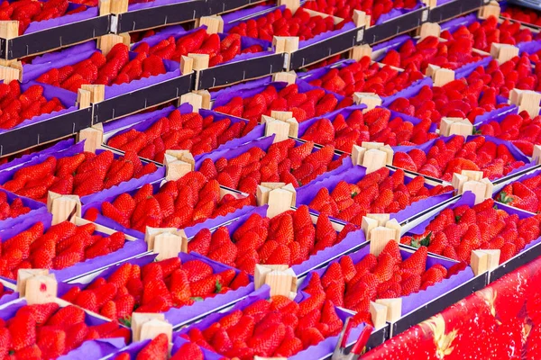 市场摊档或摊位出售装满红草莓的篮子的肖像 新鲜的水果富含维生素 随时可供食用 — 图库照片