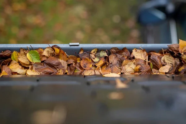 Portrait Gutter Roof Full Colorful Fallen Leaves Fall Season Cleaning — Zdjęcie stockowe