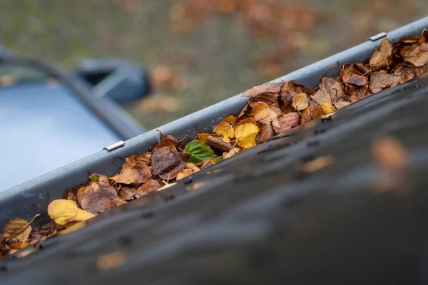 A macro portrait of a roof gutter full of colorful fallen leaves during fall season. Cleaning the clogged gutter is an annual chore for many people in order to the rain water flow away properly.