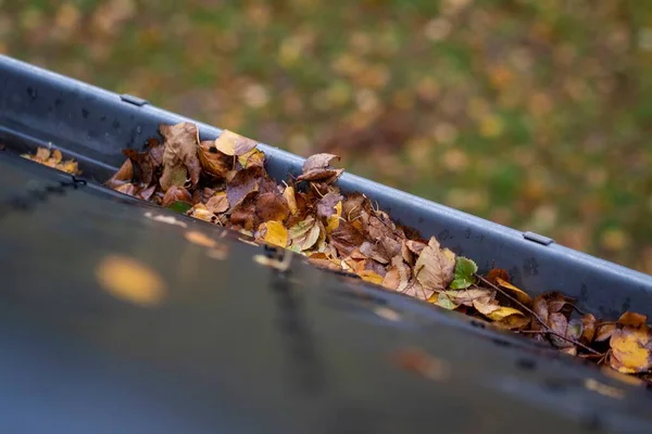 Portrait Roof Gutter Full Colorful Fallen Leaves Fall Season Cleaning — Zdjęcie stockowe