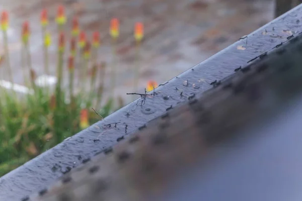 A portrait of a roof gutter overflowing with water during a rainy day. The rain water can not be drained, because the gutter is clogged with twigs, leaves and branches of trees and needs to be cleaned