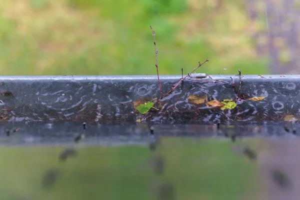 Portret Rynny Dachowej Przepełnionej Wodą Deszczowy Dzień Woda Deszczowa Nie — Zdjęcie stockowe