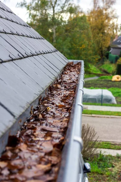秋になると茶色い紅葉が多く 水はけの悪い屋根の側溝が描かれています これは秋の季節の間の年間の雑用です ストックフォト