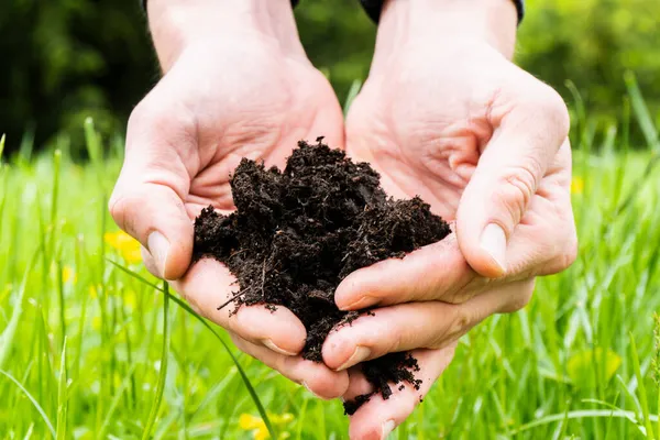 Dirty male hands holding dark moist soil. Agriculture, organic gardening, planting or ecology concept. Environmental, earth day. Banner. Copy space. Farmer checking before sowing