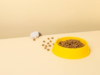 Şirin gri bir kedi ve sarı arka planda bir kase yiyecek. En sevdiği yiyeceğe uzanıyor, küçük hırsız.