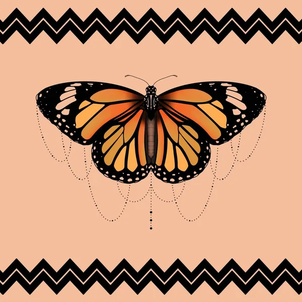 Sfondo Arancione Farfalla Stampa — Foto Stock