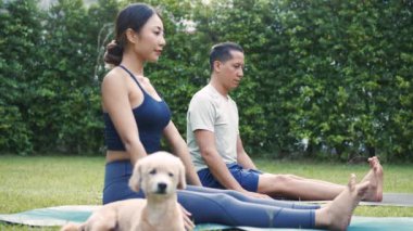 Genç fitness çifti evcil köpeğiyle yoga yapıyor. Asyalı kadın ve beyaz adam parkta antrenman yapıyor. 4K görüntü.