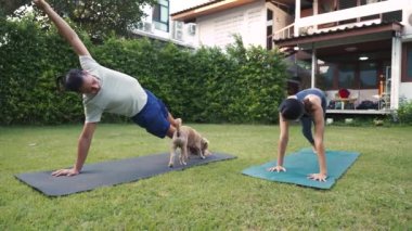 Genç fitness çifti, evin bahçesinde evcil köpekle yoga yapıyor. Asyalı kadın ve beyaz adam parkta antrenman yapıyor. 4K görüntü.