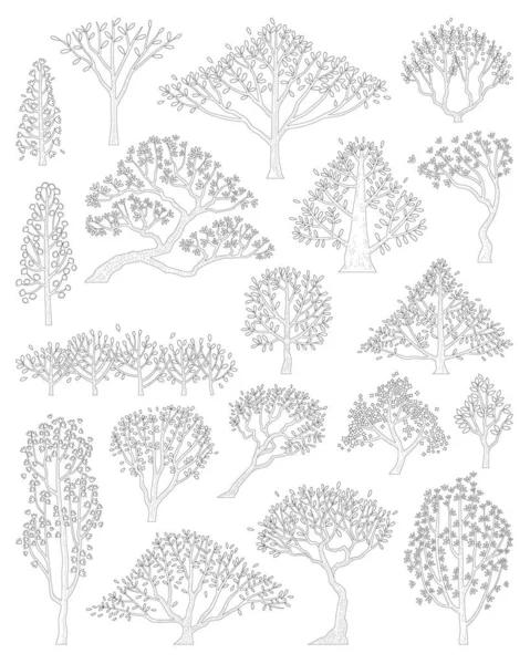 Handgezeichneter Vektorsatz Des Seitenansichtsbaums — Stockvektor
