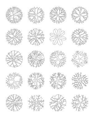 Üst görünüm ağaç vektörü seti.