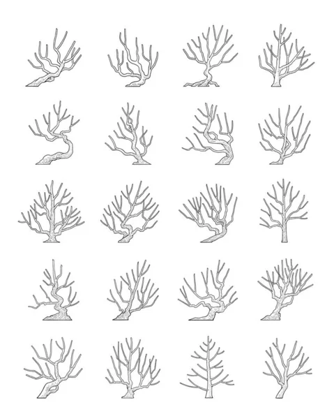 Ручной Рисованный Векторный Набор Дерева Бокового Вида — стоковый вектор