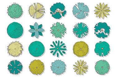 Üst görünüm ağaçlarının el çizimi vektör kümesi.