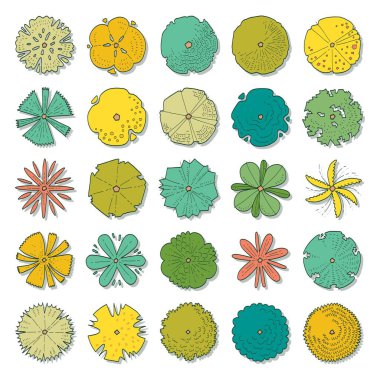 Üst görünüm ağaçlarının el çizimi vektör kümesi.