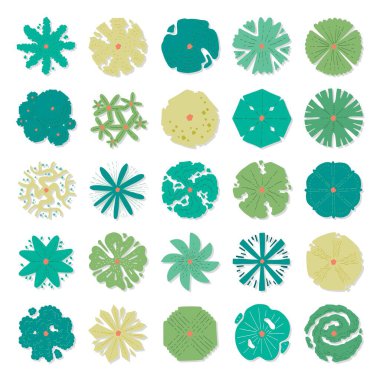 Üst görünüm ağaçlarının el çizimi vektör kümesi.