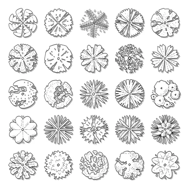Hand Drawn Vector Set Top View Trees — Wektor stockowy