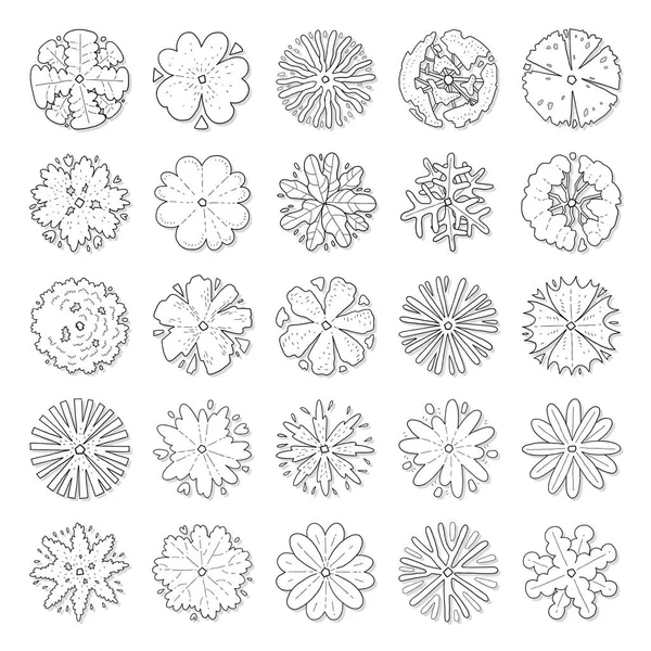 Hand Drawn Vector Set Top View Trees — Vettoriale Stock