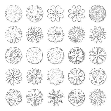 Üst görünüm ağaçlarının el çizimi vektör kümesi.