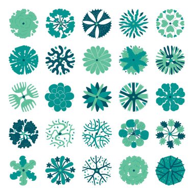 Üst görünüm ağaçlarının el çizimi vektör kümesi.