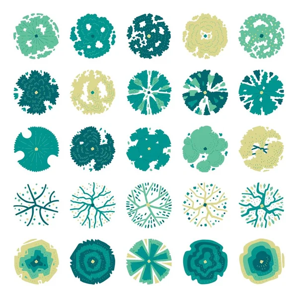 Üst görünüm ağaçlarının el çizimi vektör kümesi.