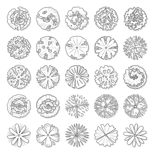 Hand Drawn Vector Set Top View Trees — Vettoriale Stock