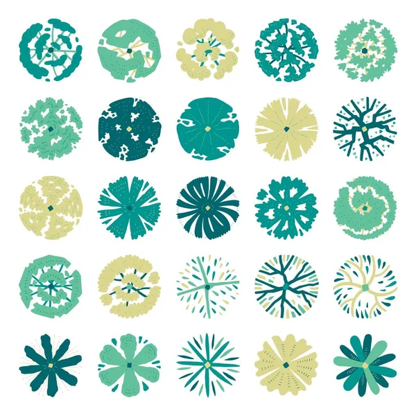 Üst görünüm ağaçlarının el çizimi vektör kümesi.