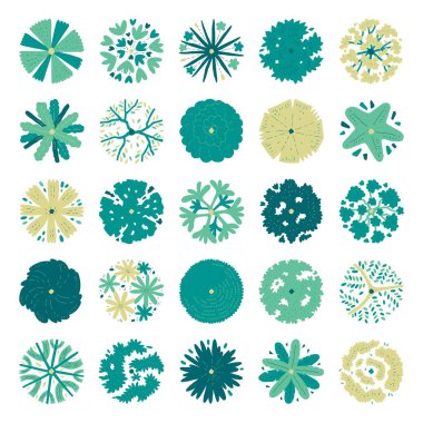 Üst görünüm ağaçlarının el çizimi vektör kümesi.