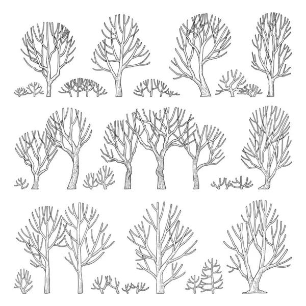 Hand Drawn Vector Set Side View Trees —  Vetores de Stock