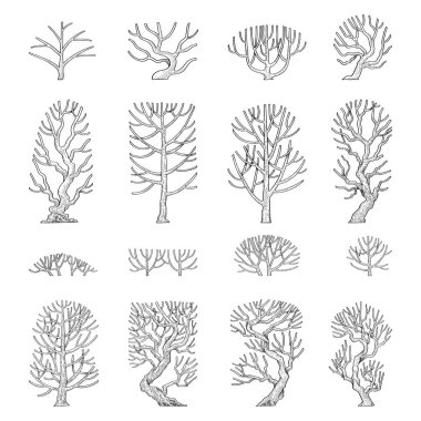 Yan görünüm ağaçlarının el çizimi vektör kümesi.