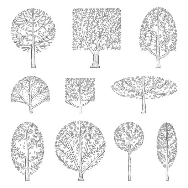Hand Drawn Vector Set Side View Trees — Stok Vektör