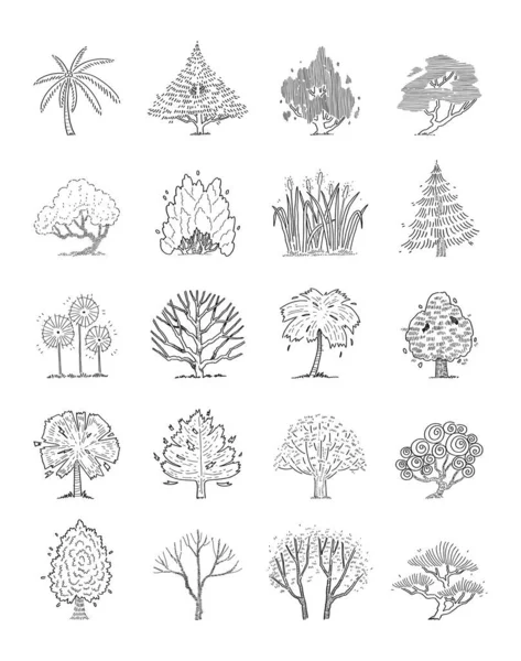 Hand Drawn Vector Set Side View Trees — стоковый вектор