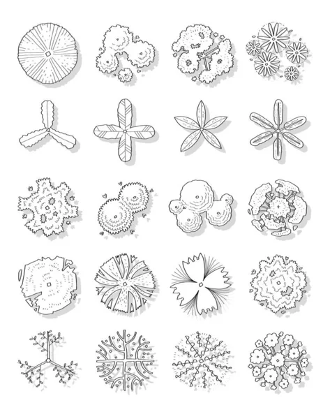 Hand Drawn Vector Set Top View Trees — Wektor stockowy