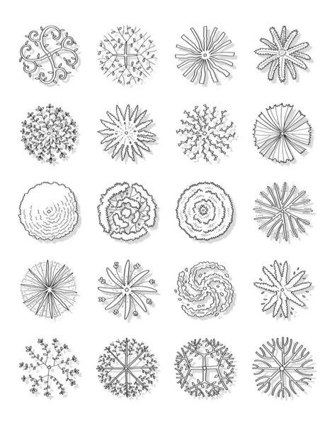 Hand Drawn Vector Set Top View Trees — стоковый вектор