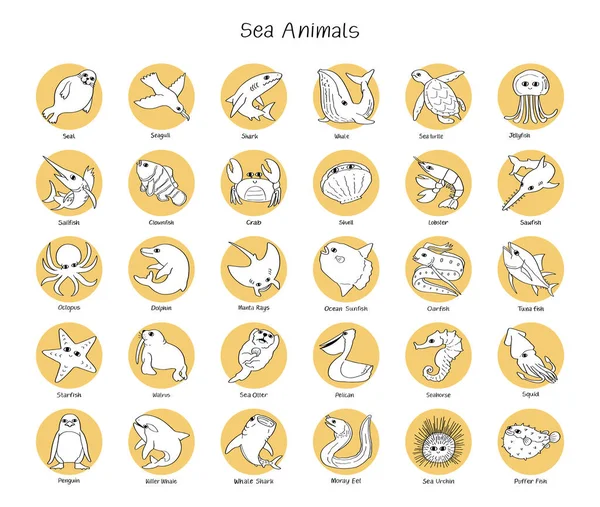 Hand Drawn Vector Set Sea Animals — Stock Vector