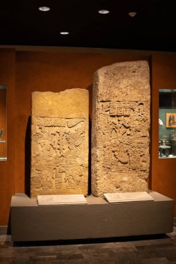 Mexico City - 24 Ağustos 2021 - Antropoloji Müzesi (CDMX Nacional de Antropoloji Müzesi) içindeki Maya sanatına dikey bakış