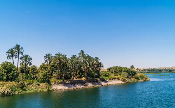 Oevers Van Nijl Met Palmbomen Vegetatie Nabij Edfu Egypte — Stockfoto