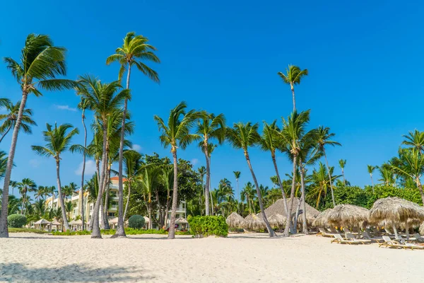 Bavaro Punta Cana República Dominicana Octubre 2021 Paradisíaca Playa Blanca — Foto de Stock