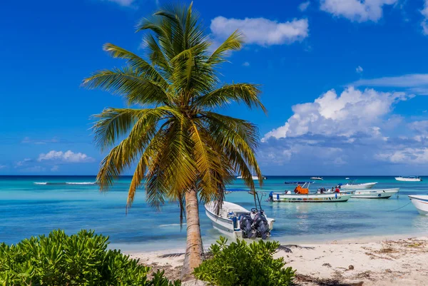 Isla Saona República Dominicana Octubre 2021 Barcos Con Turistas Playa — Foto de Stock