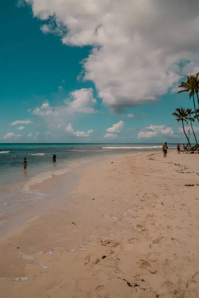 Isla Saona Dominikánská Republika Vertikální Pohled Západ Slunce Lidí Hlavní — Stock fotografie