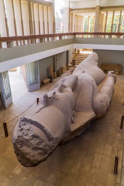 Memphis, Mısır - 1 Nisan 2021 - antik Memphis başkenti 2. Ramses heykelinin dikey görüntüsü