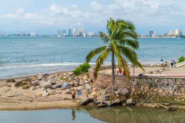 Puerto Vallarta, Meksika - 12 Eylül 2021 - Arka planda palmiye ağacı, Pasifik Okyanusu ve yolcu gemisi ile nehirde yıkanan yerli bir adamın gizli fotoğrafı