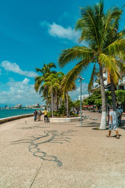 Puerto Vallarta, Meksika - 12 Eylül 2021 - Malecon Pasifik gezinti alanında palmiye ağaçlarının dikey görüntüsü