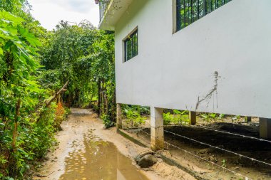 Yelapa 'da, Jalisco' da, Meksika 'da uzak bir orman evi.