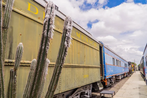 Puebla Mexiko Srpna 2021 Kaktusy Klasické Vlaky Železničním Muzeu Museo — Stock fotografie