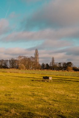 Lüksemburg 'da boş bir tarla ve dramatik bulutlarla dikey minimalist gün batımı manzarası