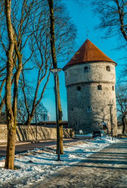 Tallinn, Estonya - 25 Ocak 2022 - Maiden Tower ile Toompea Tepesi Parkı 'nın kışın dikey görüntüsü