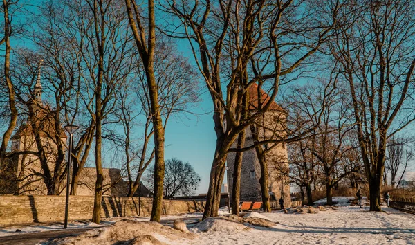 Таллінн Естонія Січня 2022 Року Захід Сонця Гірського Парку Тоомпеа — стокове фото