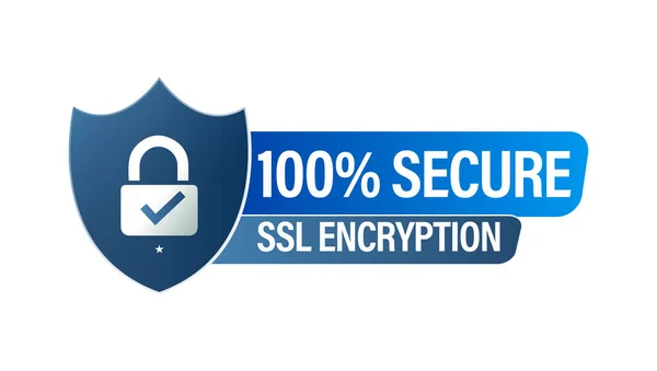 100 Secure Ssl Encryption Vector Icon Padlock Secure Paymednt Abstract — Stock Vector