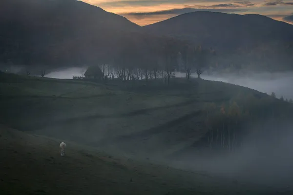 Paisagem Matinal Uma Área Rural — Fotografia de Stock