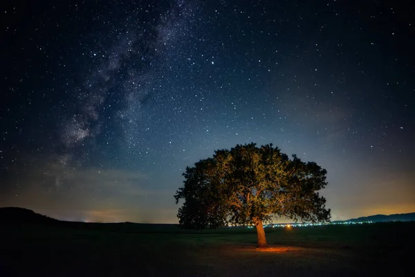 Milchstraße Der Nacht Mit Einer Einsamen Eiche Vordergrund — Stockfoto